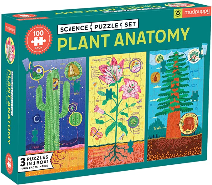 Plant Anatomy Science Puzzle